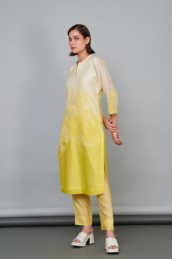 582 Chanderi Applique Kurta and Bottoms