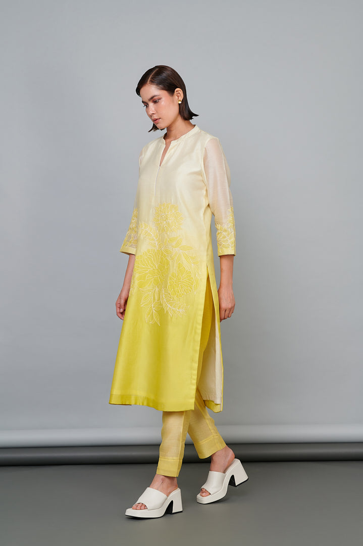 582 Chanderi Applique Kurta and Bottoms