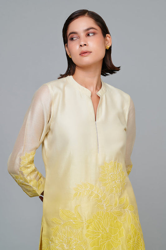 ABHJEET KHANNA | SHADED KURTA SET